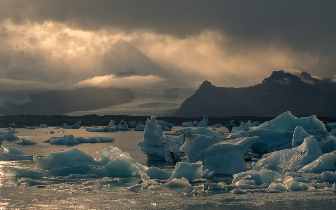 ¿Qué podemos hacer para evitar el cambio climático?