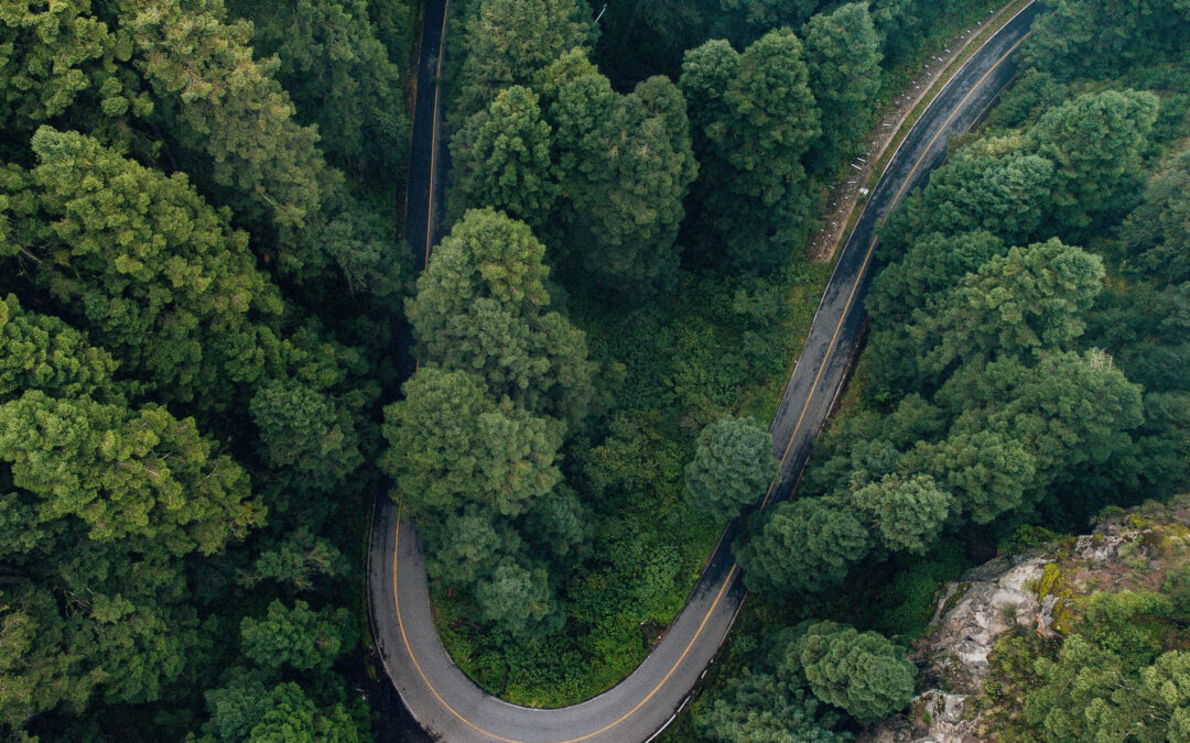 ¿Qué es la economía verde? Definición y Objetivos