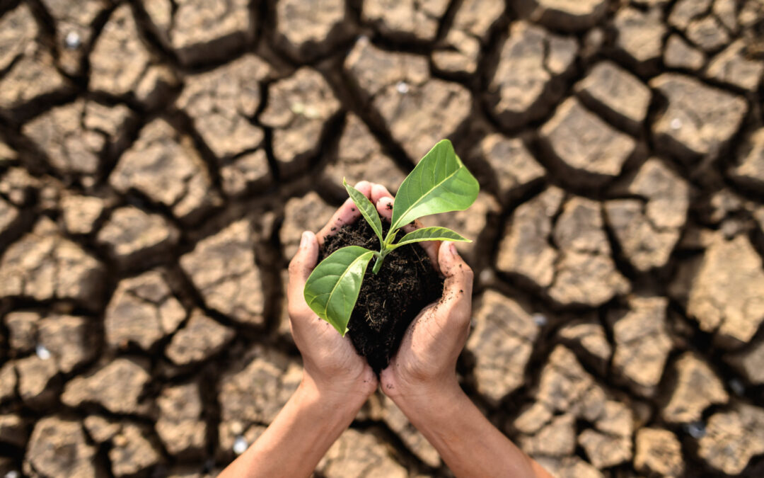 Semana Europea de la Inversión por el Clima: Un compromiso con el futuro sostenible