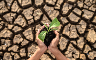 Semana Europea de la Inversión por el Clima: Un compromiso con el futuro sostenible