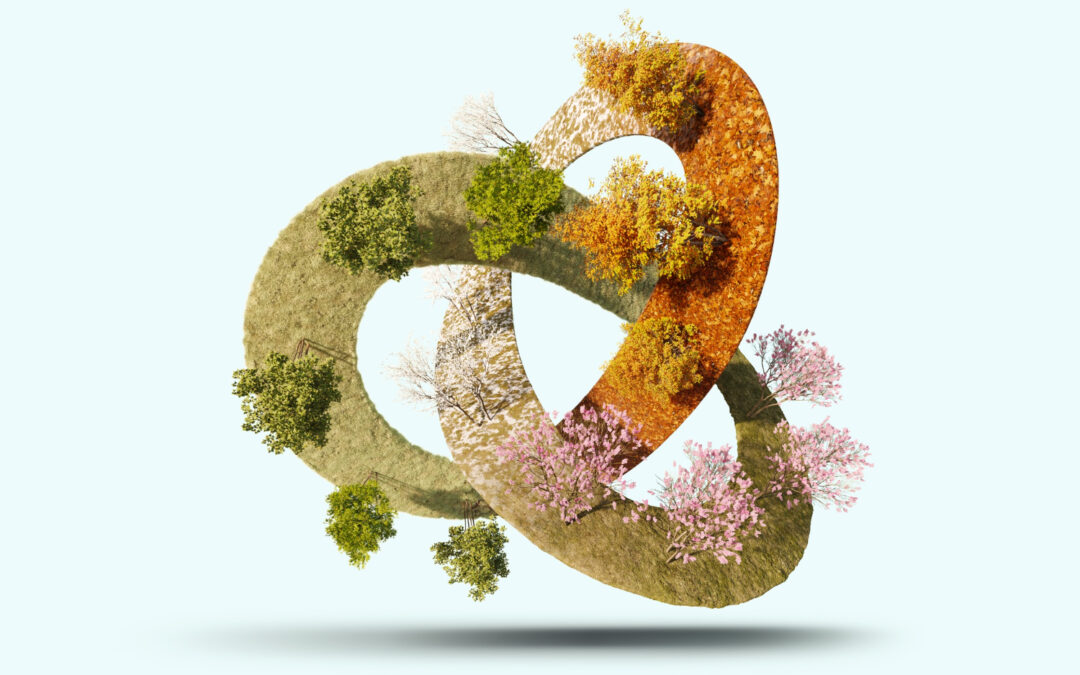 Economía Circular: Reinventando el futuro sostenible