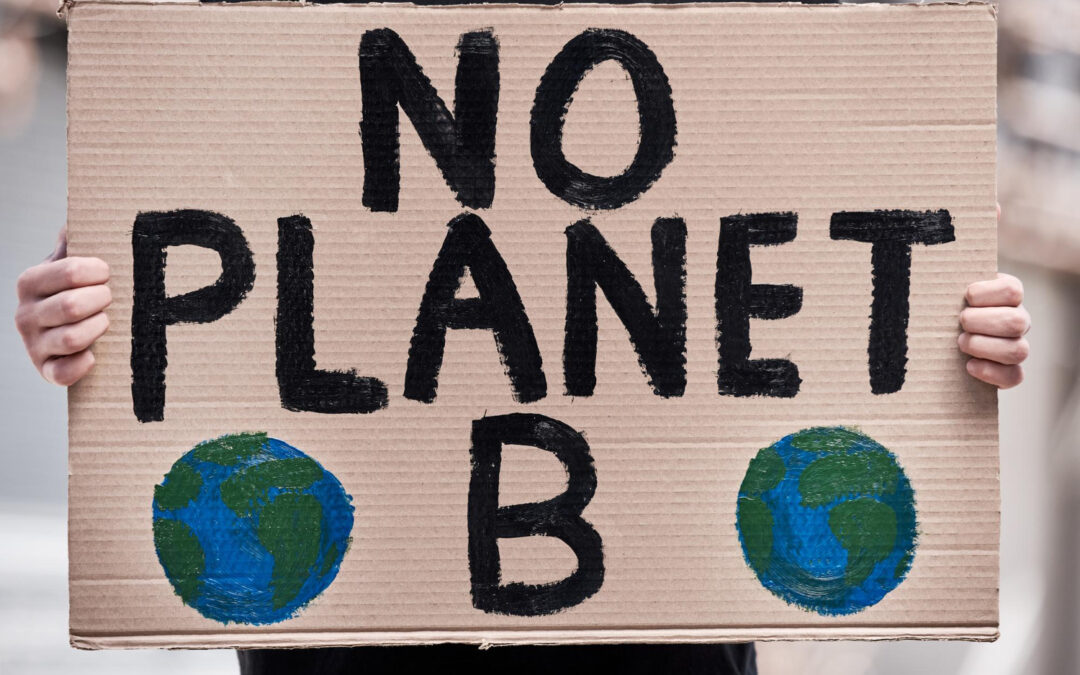Acciones para frenar el cambio climático. ¿Cómo puedo contribuir?