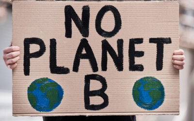 Acciones para frenar el cambio climático. ¿Cómo puedo contribuir?