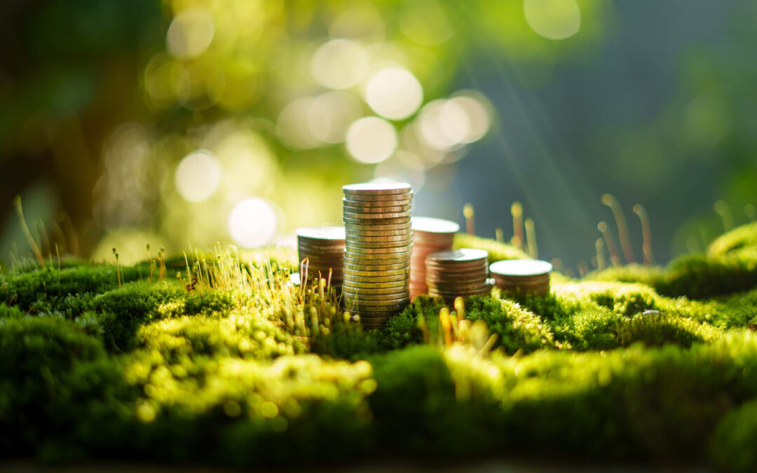 Finanzas sostenibles: qué son y cómo funcionan