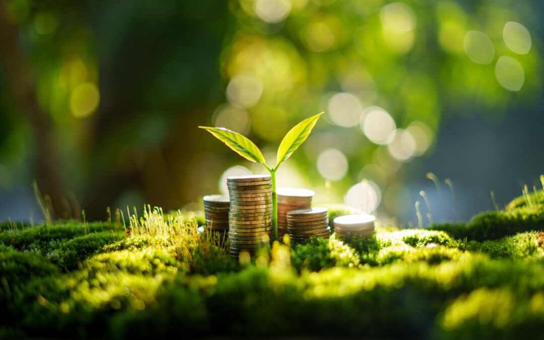 Finanzas sostenibles: qué son y cómo funcionan