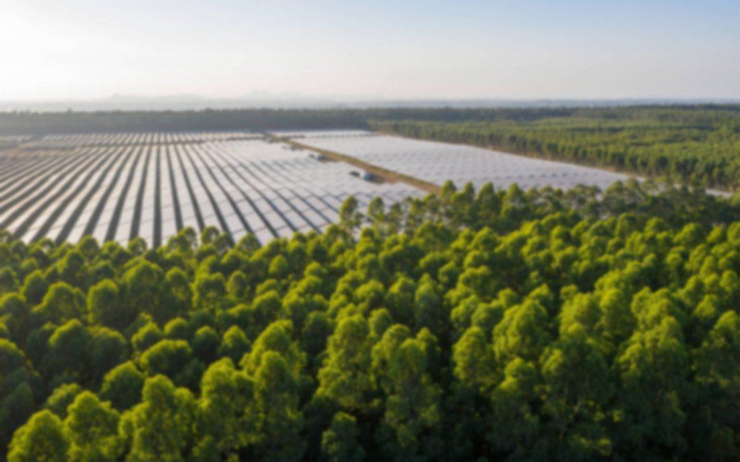 Heliogen: il calore del sole a portata di mano per salvare il Pianeta