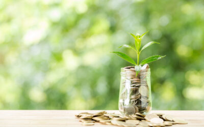 Il record degli eco investimenti in Italia