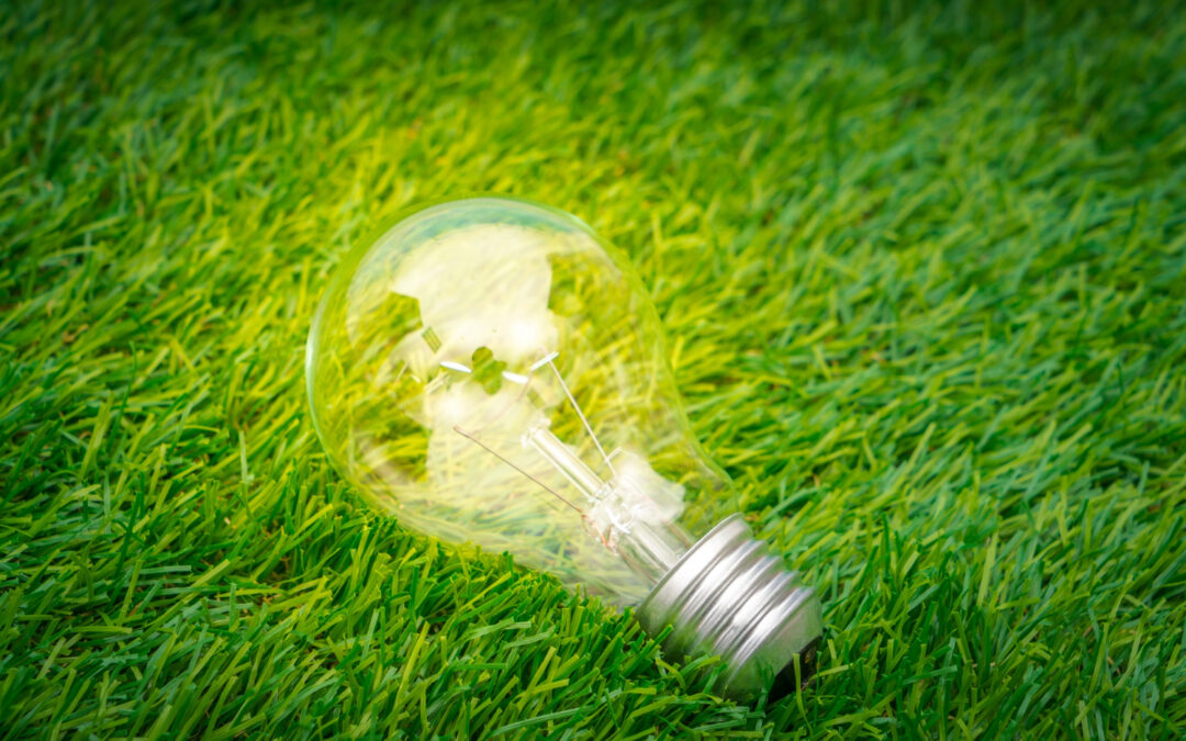 L’importanza del crowd nella transizione energetica.