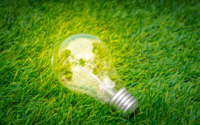 L’importanza del crowd nella transizione energetica.