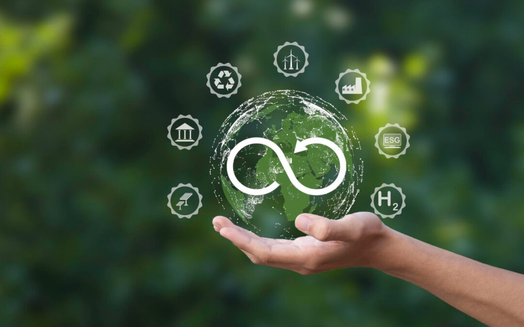 Circular economy e green economy.