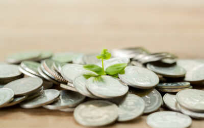 Green Economy : un’opportunità unica per il settore primario