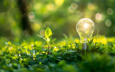 Le energie del futuro
