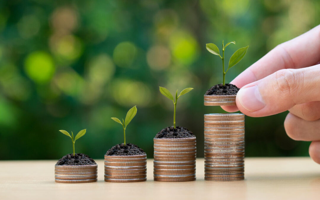 Investire nella sostenibilità crea benefici per tutti