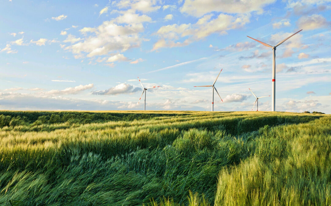 Le energie rinnovabili sono un traino per il settore energetico: la corsa all’oro verde