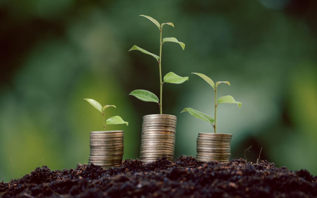 Come guadagnare con l’energy crowdfunding