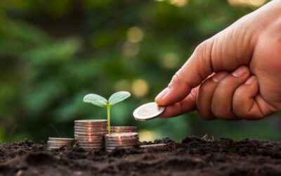 Guadagnare con il GreenVesting: le grandi opportunità del Green New Deal