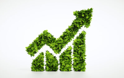 GREEN ECONOMY: LA NUOVA MAPPA DELLA FINANZA ALTERNATIVA VERDE