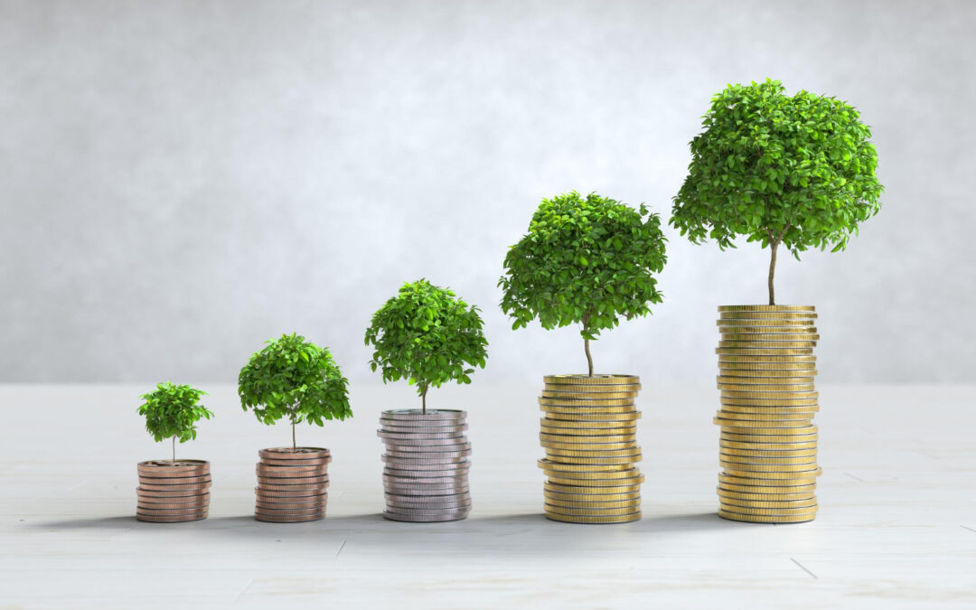 Ener2Crowd leader nel mercato del crowdinvesting