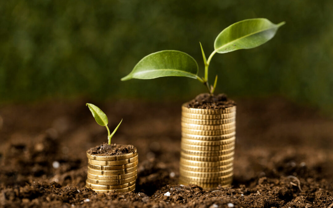 LA LETTURA DEL SABATO – A CURA DI GIORGIO MOTTIRONI | Antropocene e Finanza Climatica.