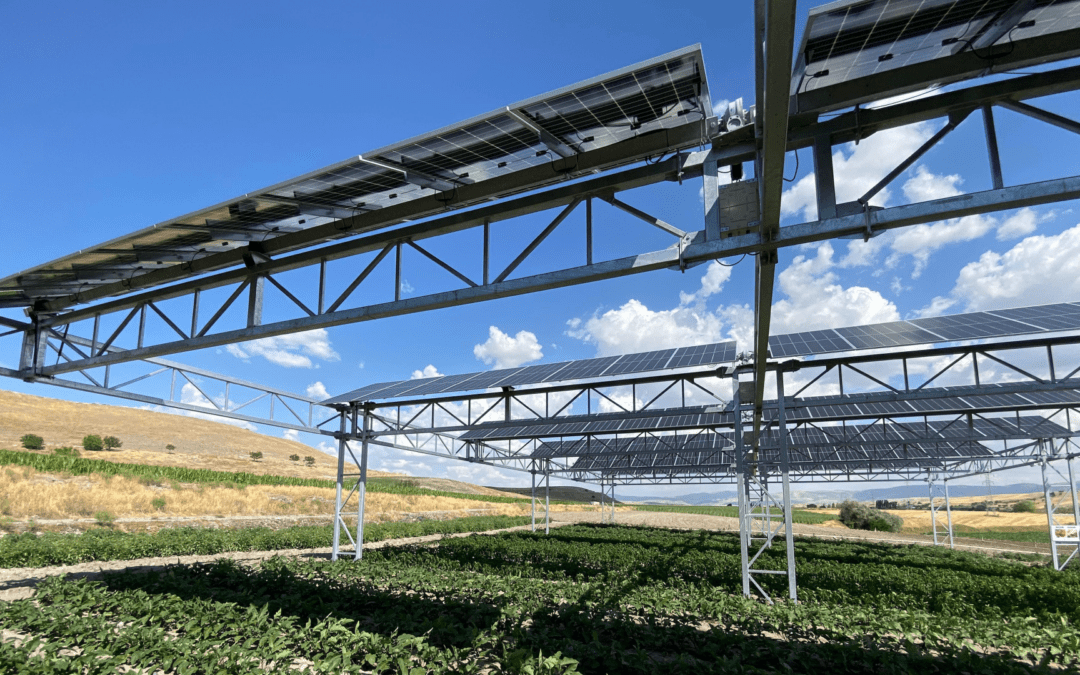 Could Crowdfunding Be the Silver Bullet to Unlocking the Financing of Renewable Energy Projects Within Agriculture?