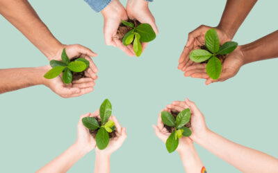 Le scelte dei Brand Eco-friendly